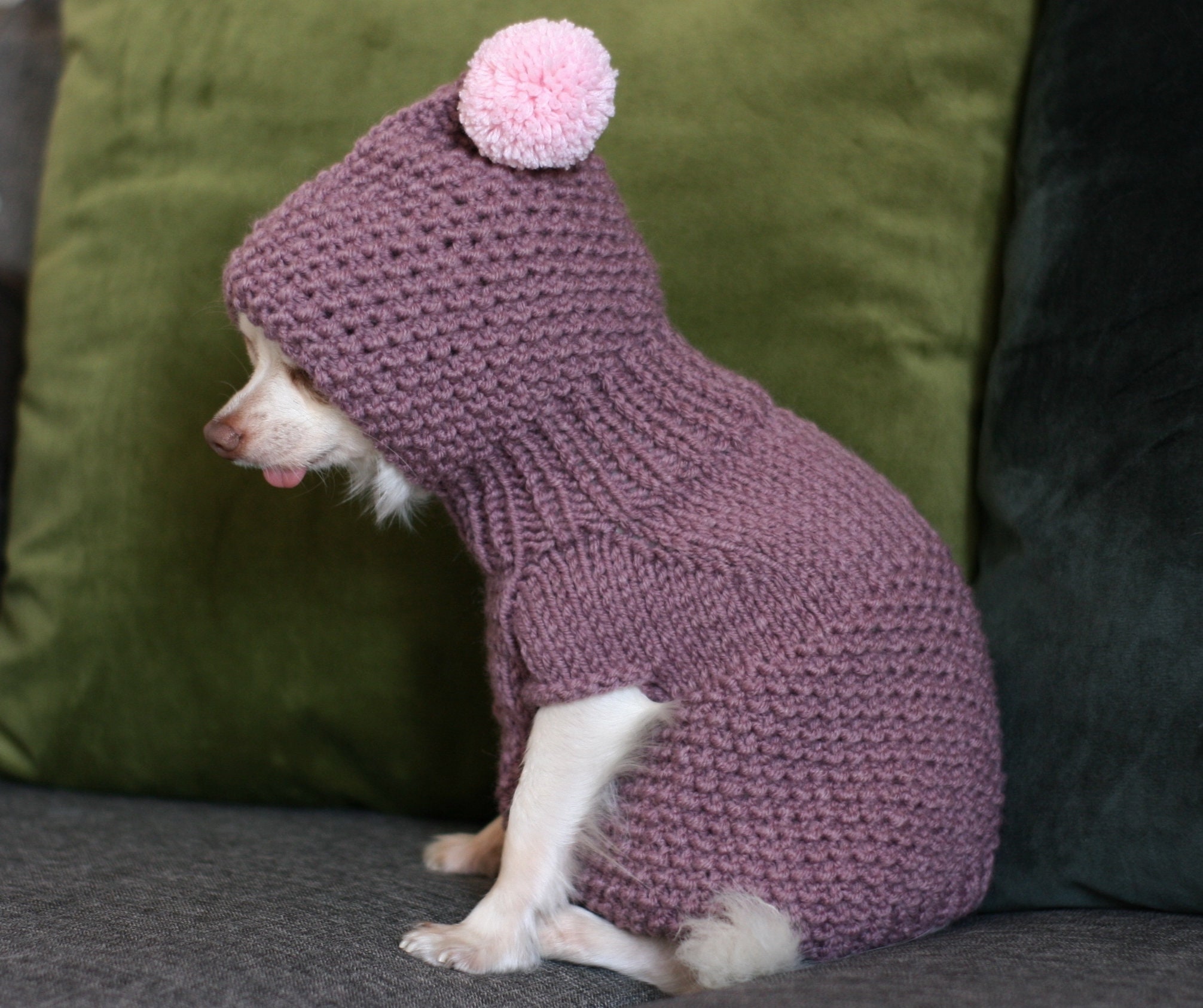 PDF Knitting Pattern Toy Chihuahua Hooded Sweater. Knitted Etsy