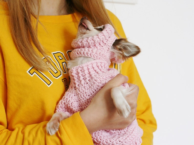 2 PDF Crochet PATTERNS Toy Chihuahua sweater and hat. Fast and easy. Made in one piece. Written in US terms. Skill level: Intermediate image 5