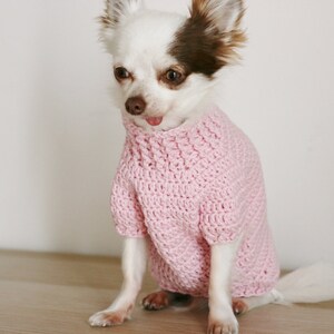 2 PDF Crochet PATTERNS Toy Chihuahua sweater and hat. Fast and easy. Made in one piece. Written in US terms. Skill level: Intermediate image 2