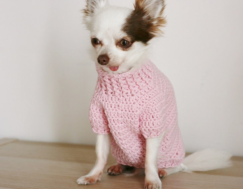 2 PDF Crochet PATTERNS Toy Chihuahua sweater and hat. Fast and easy. Made in one piece. Written in US terms. Skill level: Intermediate image 2