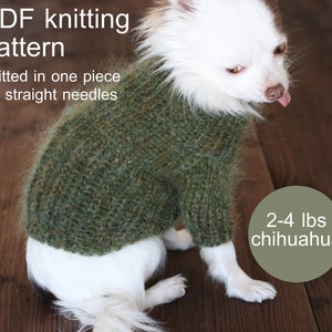 May include: A green knitted sweater for a small dog, with the text "2-4 lbs chihuahua" on a green circle. The sweater is knitted in one piece on straight needles.
