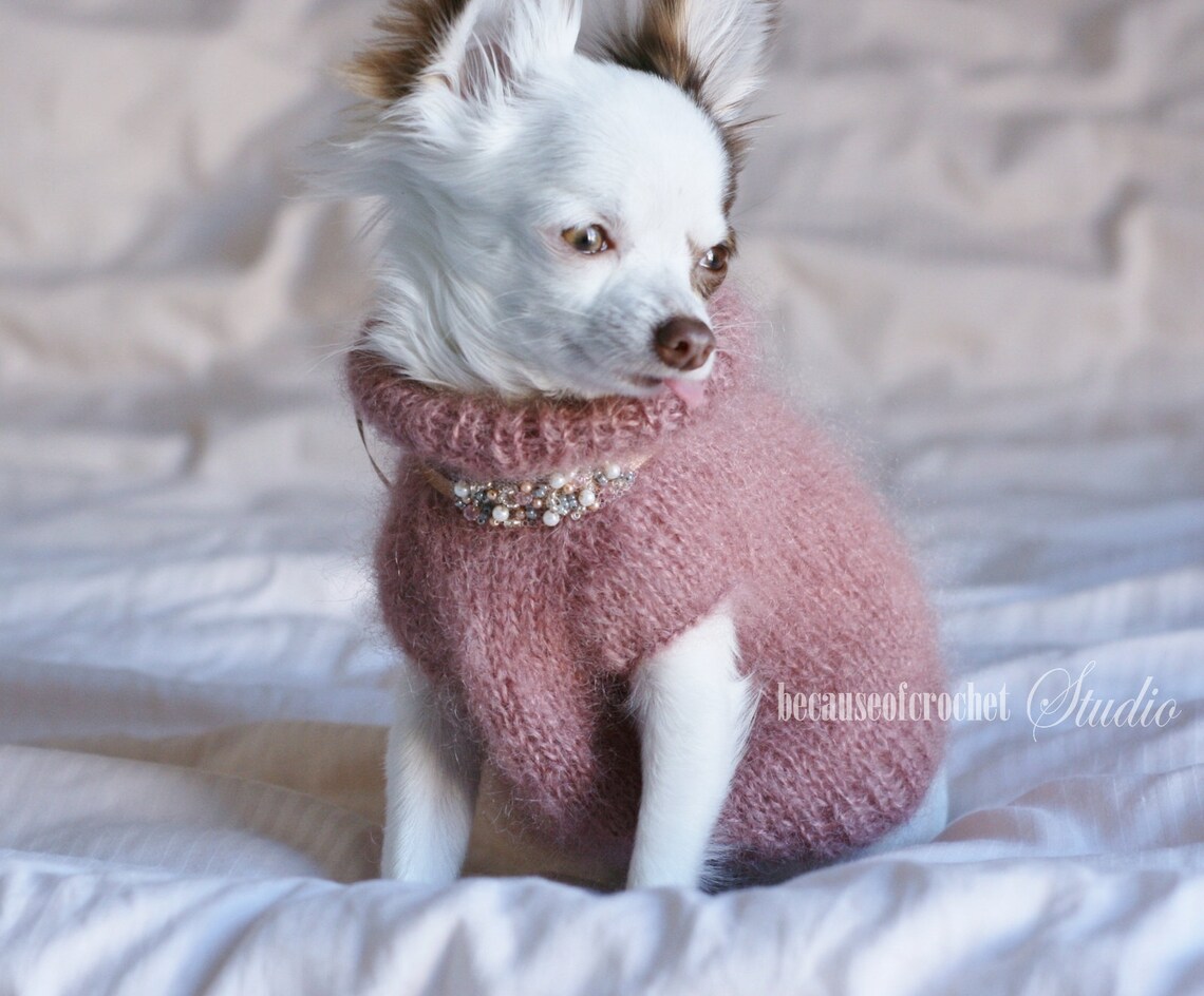 PDF Knitting PATTERN Chihuahua Girl Sweater. Knitted in One Etsy
