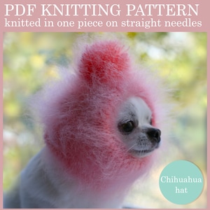 Patrón de tejido de gorro de chihuahua: fácil de tejer con agujas rectas (patrón PDF)