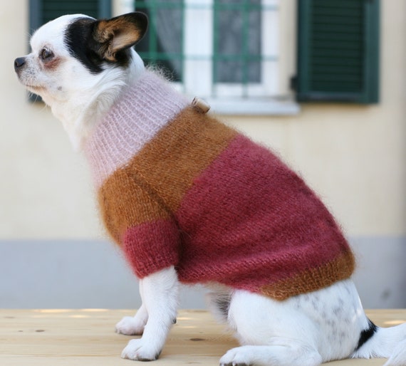 PATRON PDF Pull chihuahua longueur 12 po. largeur de poitrine 8 po. Ecrit en termes americains. Niveau de competence intermediaire. Etsy France