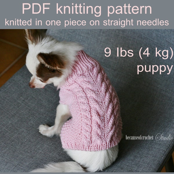 PDF Knitting PATTERN – Puppy braided sweater. Dog weight 7-9 Ibs (3-4 kg) . Written in US terms. Skill level: Intermediate.