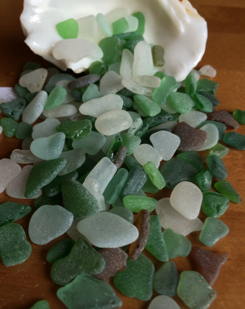 Genuine Sea Glass Bulk Sea Glass Genuine Beach Glass Surf Etsy