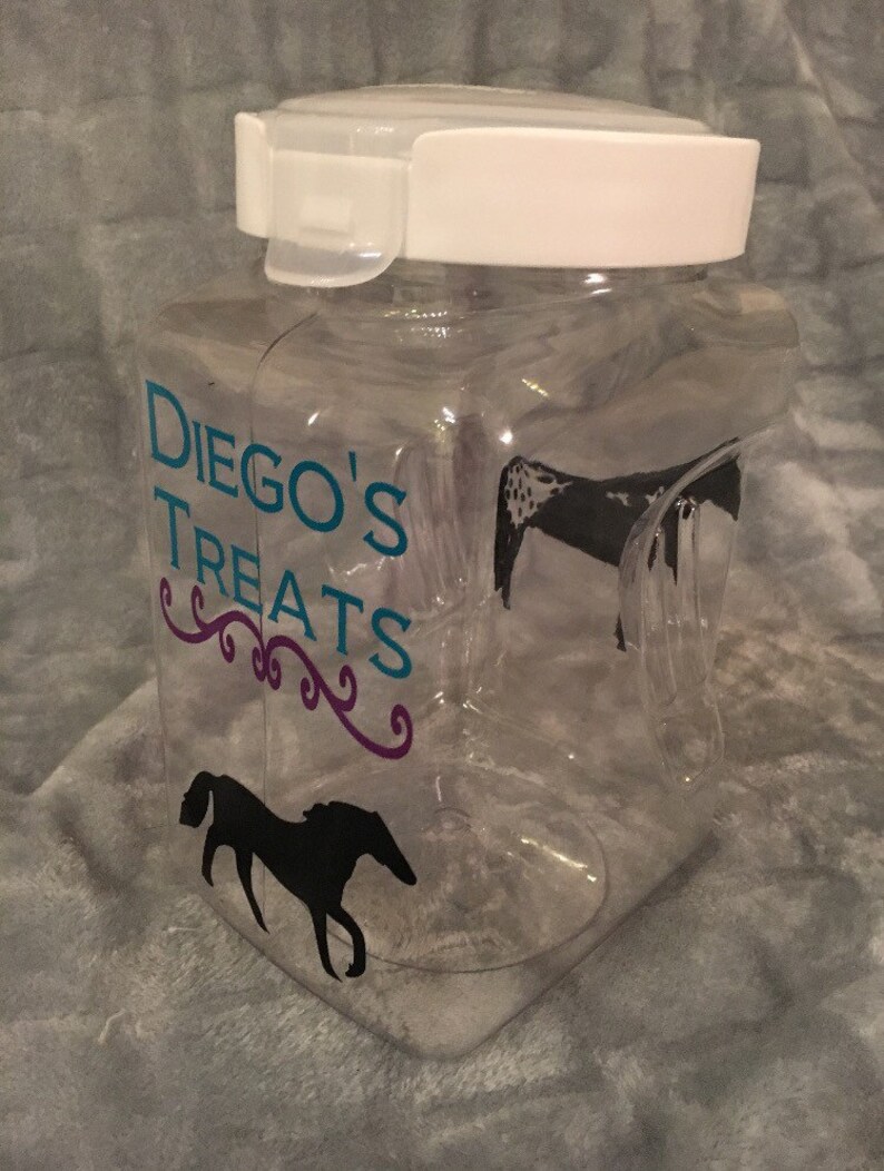 Custom Personalized Horse Treat Jar / Pet Treat Jar Etsy