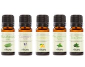 5 x 10ml Essential Oils - Beginners Pack - Gift Set Multi Pack