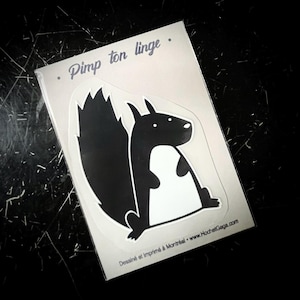 Peut inclure: Autocollant noir et blanc d'un écureuil de dessin animé avec le texte "Pimp ton linge" sur fond blanc. L'autocollant est sur une feuille de plastique transparente.