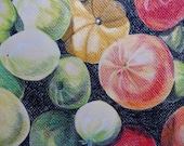 Tomates de dibujo de lápiz de color original
