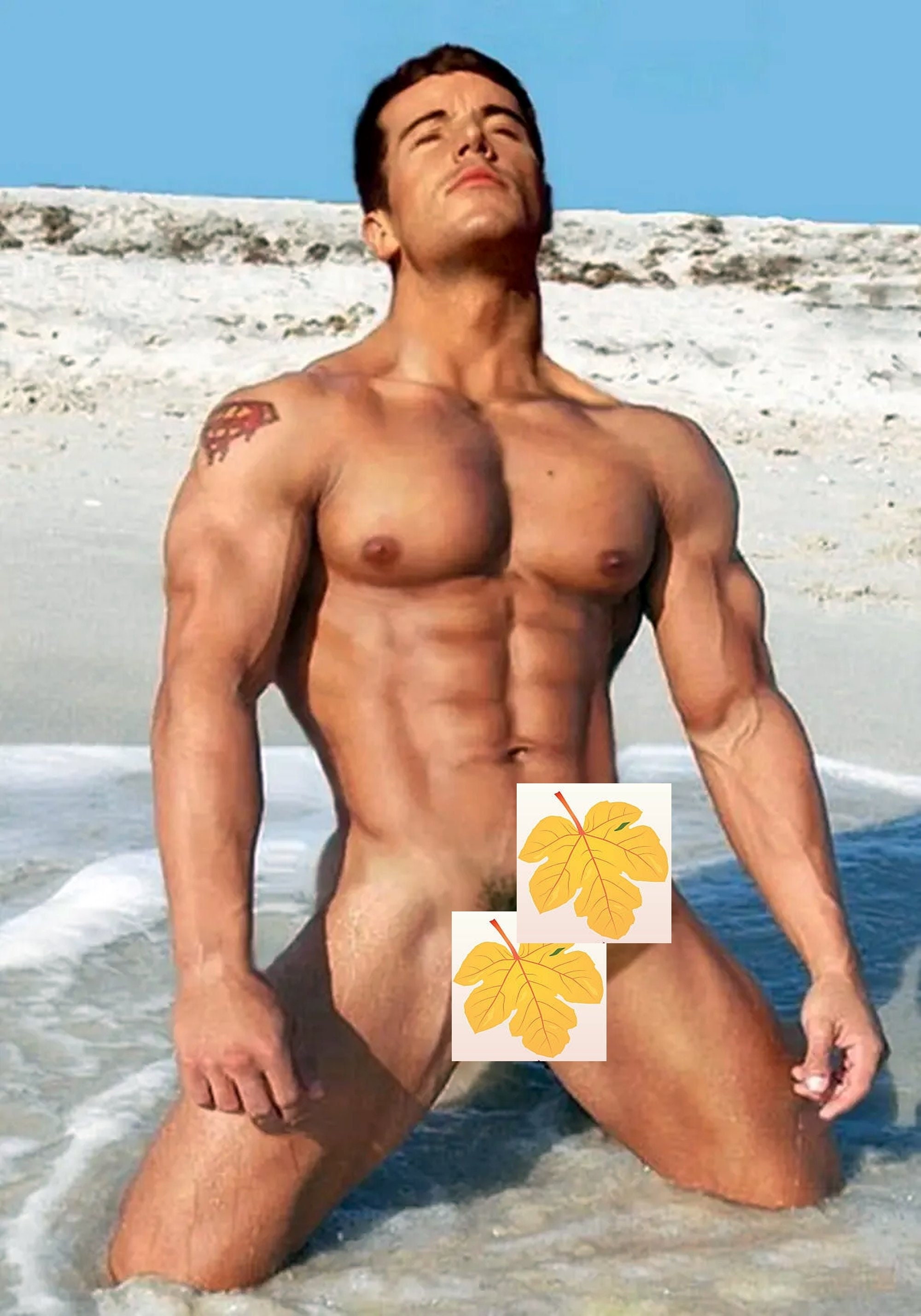 Fotografía DESNUDA enmarañada 5x7 Hombre musculoso guapo Frontal completo  Nudista en la playa Interés gay - Etsy México