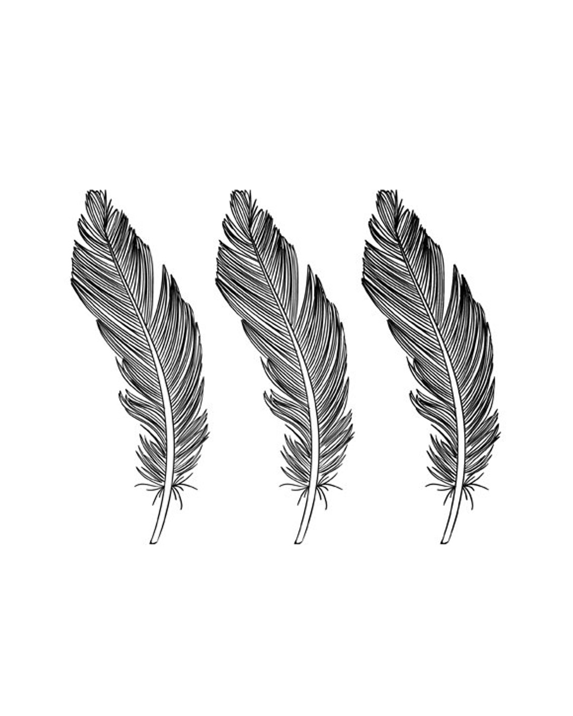 Feathers, Black and White, Native Feathers, Printable Wall Art, Home ...