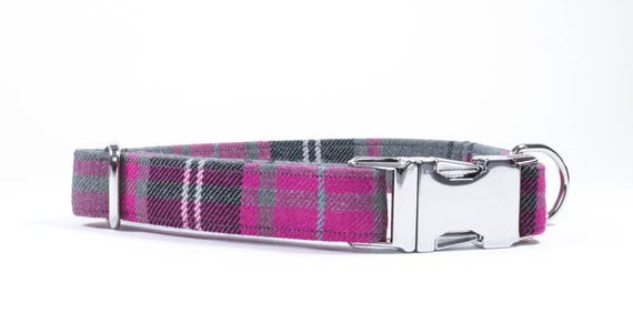 low energy level dogs