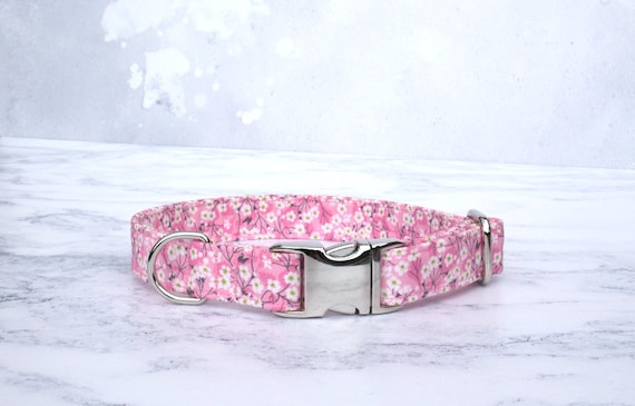 Elizabeth dog clearance collar