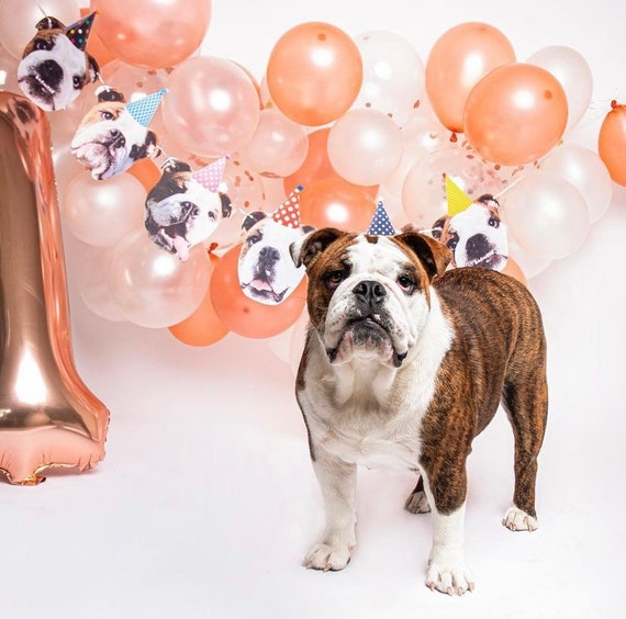 Personalise to your pet Happy Birthday Party Pet Banner Etsy