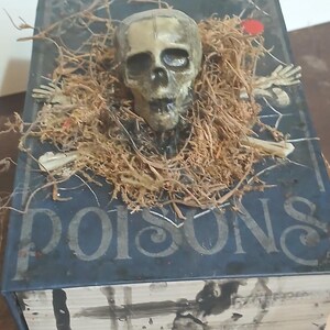 Worm's Wart Poison Box, Skull Apothecary Bottle, Halloween Decor