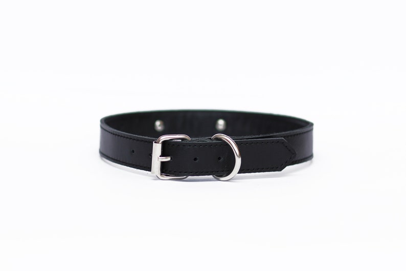 Pode incluir: Um colar de cachorro de couro preto com uma fivela e um anel em D prateados.