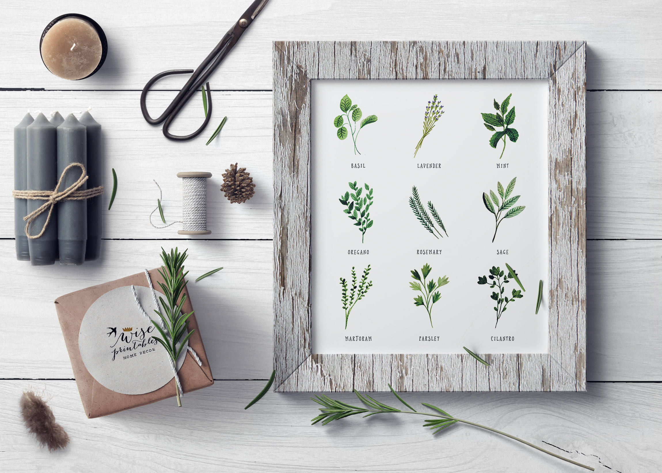 Kitchen Botanical Herbs print decor Culinary Green Etsy