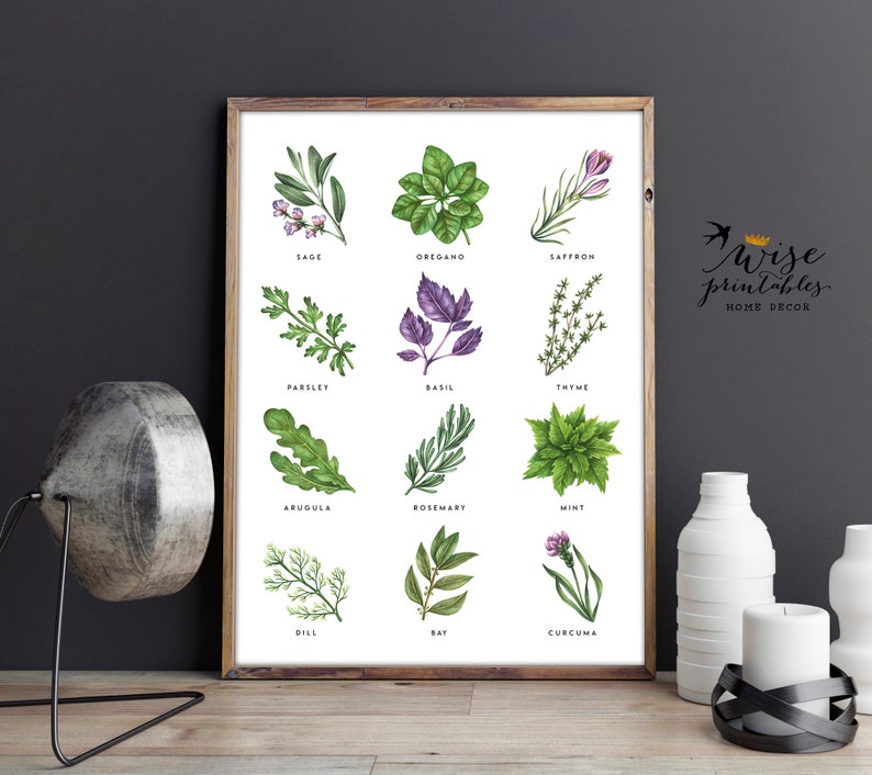 Kitchen Botanical Herbs print decor Culinary Green | Etsy