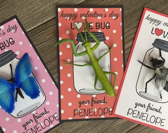 Bug Kids Valentine's Day Card for school, girls or boy valentines for class exchange, preschool Kids Valentines, LOVE Bug