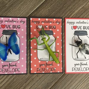 Bug Kids Valentine's Day Card for school, girls or boy valentines for class exchange, preschool Kids Valentines, LOVE Bug image 4