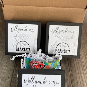 Ring Bearer Proposal, Will you be my Ring Bearer, Ring Security Ring Bearer Gifts image 9