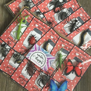 Bug Kids Valentine's Day Card for school, girls or boy valentines for class exchange, preschool Kids Valentines, LOVE Bug image 9