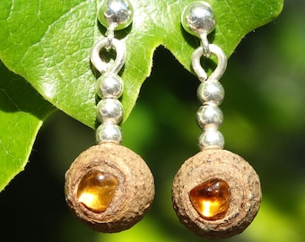 Earrings made of eucalyptus seed pods, citrine and sterling silver spheres.