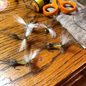 Hexagenia Mayfly