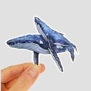 Autocollant baleine par Mammbodo