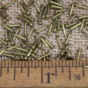 May include: A close-up of a pile of brass tacks, with a ruler measuring 1 inch and 1/16 inch. The tacks are arranged in a random pattern on a hessian surface.