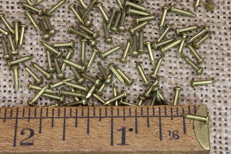 May include: A close-up of a pile of brass tacks, with a ruler measuring 1 inch and 1/16 inch. The tacks are arranged in a random pattern on a hessian surface.