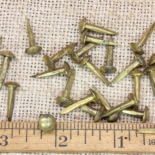 5/8” Brass Color 25 Nails Furniture Tacks  5/16” Domed Round Head Trunk Vintage Old nails~25*247