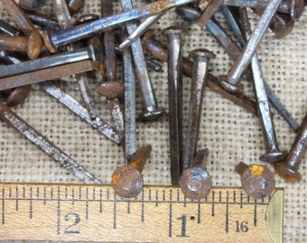 1 1/2” OLD Button Rose Square 25 NAILS in lot round Domed head rustic vintage~25*200