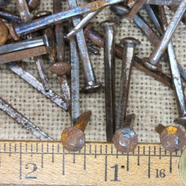 1 1/2” OLD Button Rose Square 25 NAILS in lot round Domed head rustic vintage~25*200