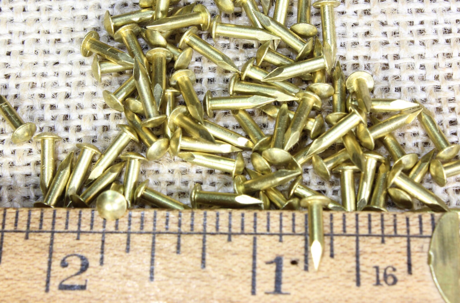 3/8 Solid Brass Brad Nails 75 Pieces Large Head 15 Gauge Etsy