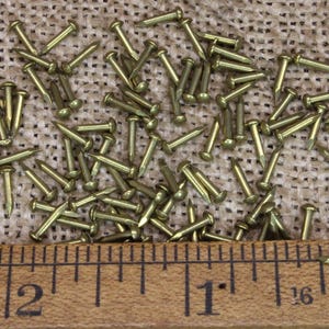 May include: A close-up of a group of small, gold-coloured tacks or nails scattered on a hessian surface. A wooden ruler with inch markings is placed below the tacks, showing a measurement of 1 inch and 2 inches.