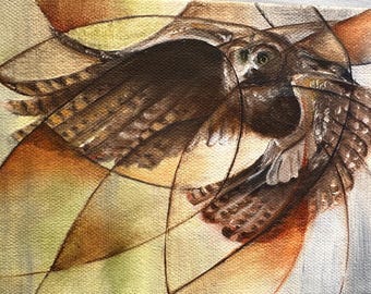 owl in flight