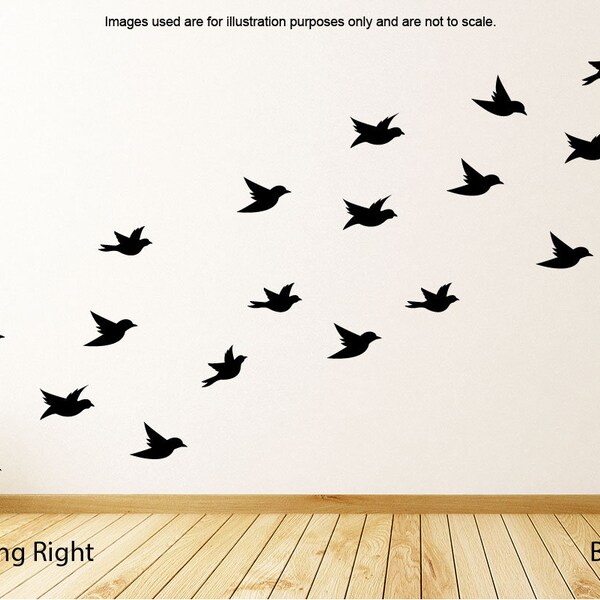Bird Wall Decal Etsy UK