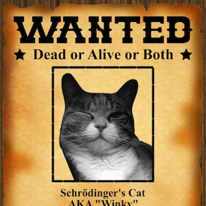 Schrodinger&#39;s Cat Wanted Poster - Printable Instant Download