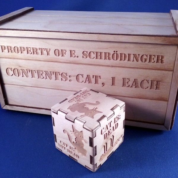 Schrodinger's Cat Box Decision maker, Quantum Physics paradox