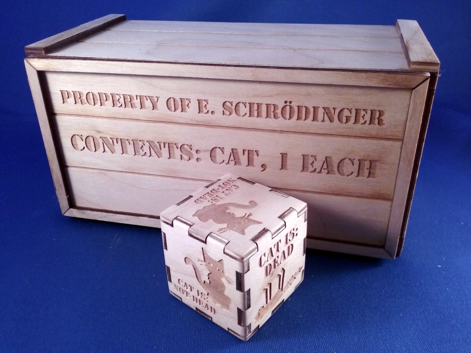 Schrodinger's Cat Box Decision Maker Quantum Physics Etsy
