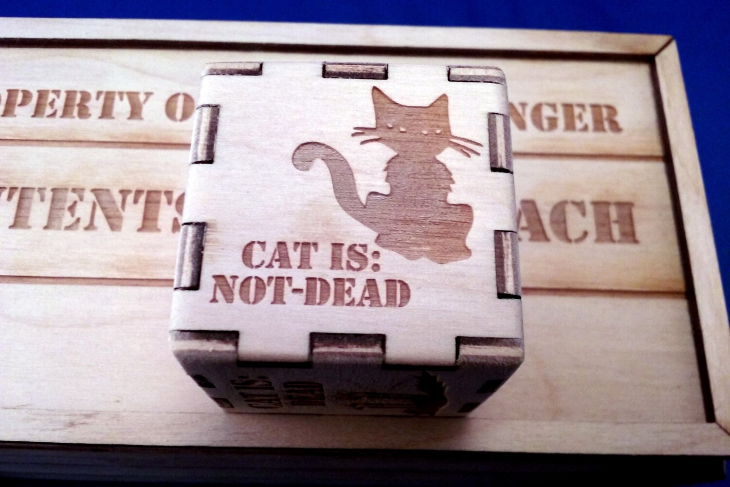 Schrodinger's Cat Box Decision Maker, Quantum Physics Paradox - Etsy
