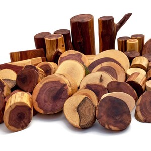 Tree Blocks 45 Piece Pro set