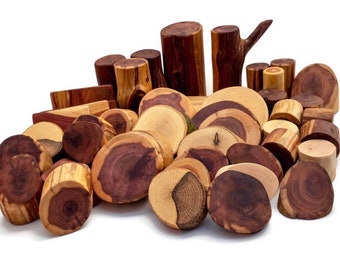 Tree Blocks 45 Piece Pro Set