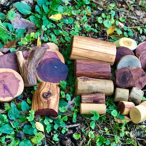 Tree Blocks 30 Piece Basic Set