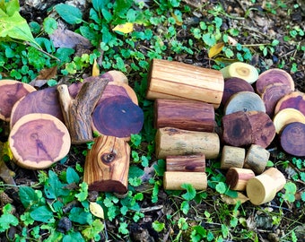 Tree Blocks 30 Piece Basic Set