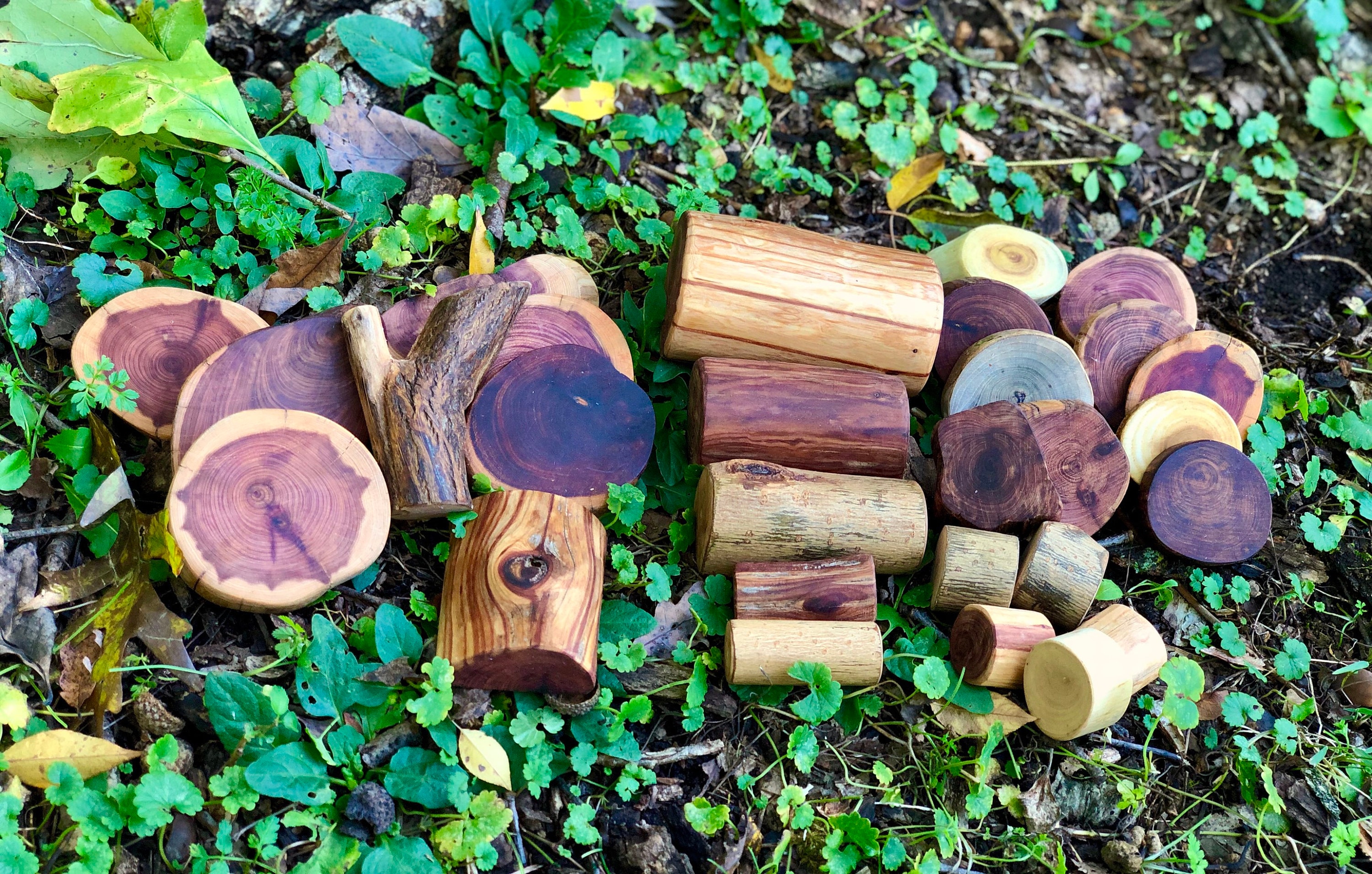 Treemagination XL Tree Blocks - 22 Piece Natural Wood Building Set From Fallen Branches