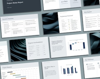 PowerPoint-Vorlage für Projektstatusberichte | Management-Dashboard | Projektmanagement | Beratungsstil | Präsentation zum Programm-Update