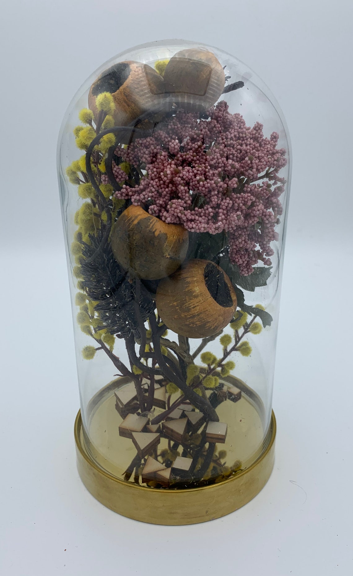 Glass terrarium cloche glass cloche terrarium tabletop Etsy